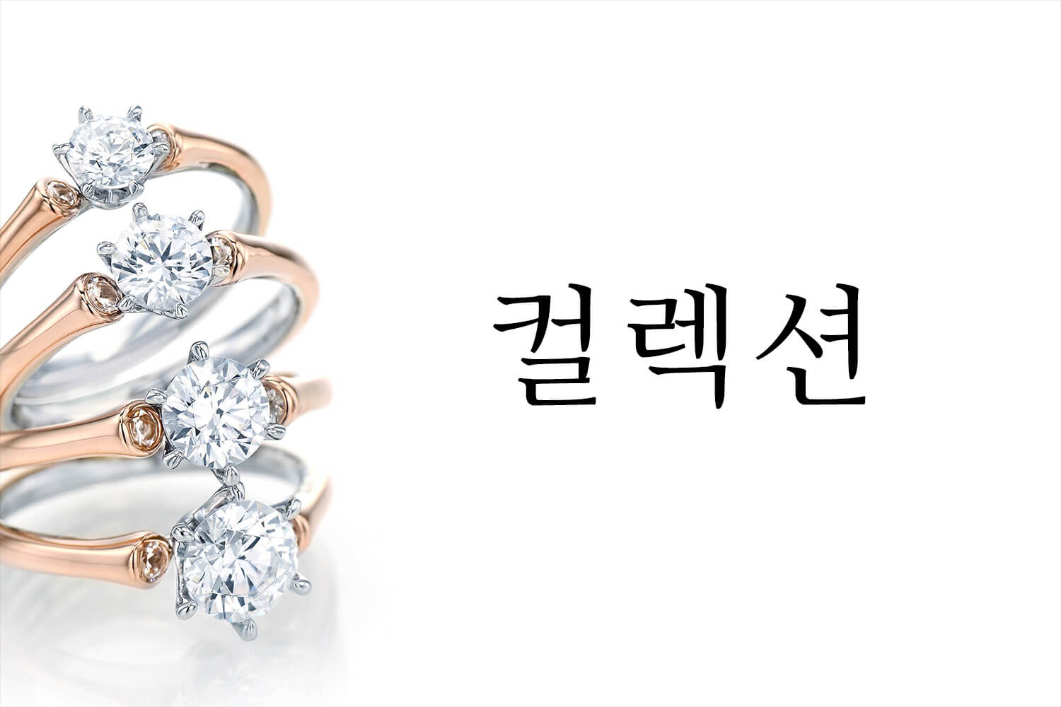 컬렉션 배너